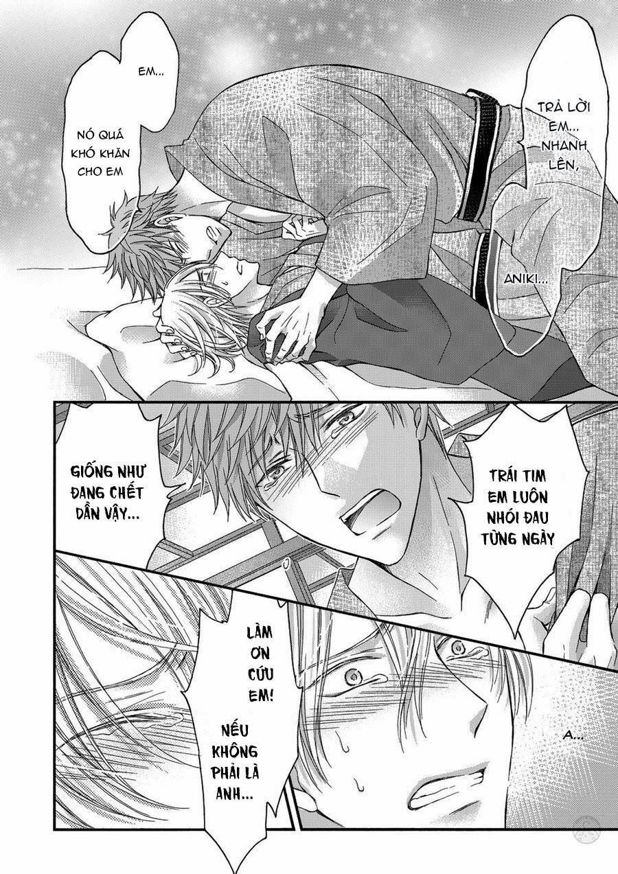 Nghịch Lí Tình Yêu Điên Cuồng 5 trang 23