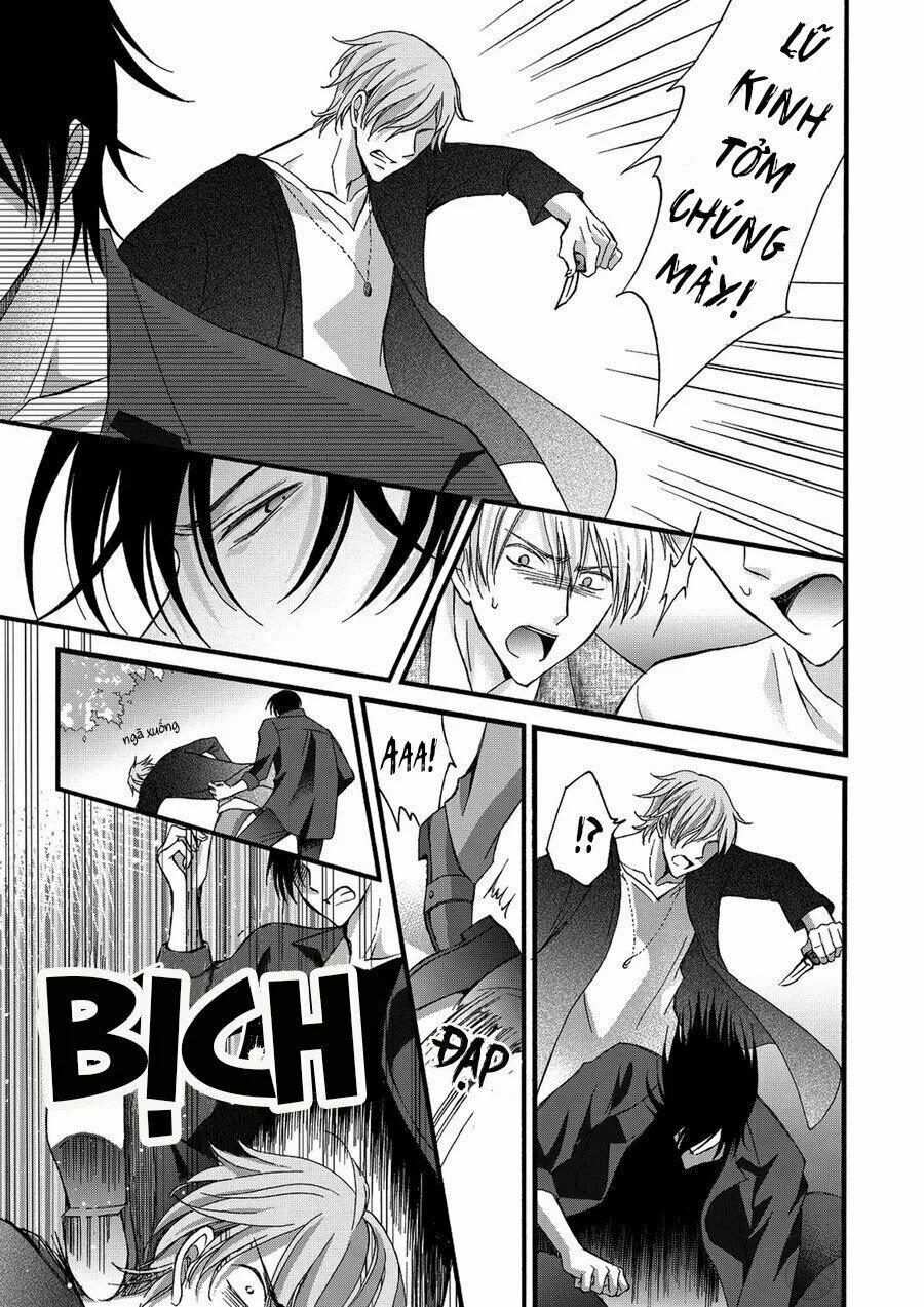 Nghịch Lí Tình Yêu Điên Cuồng 7 trang 13