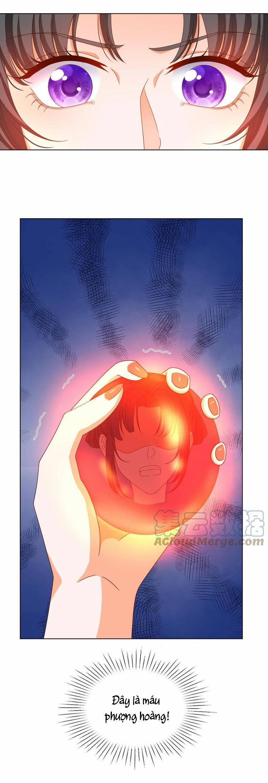 Nghịch Thiên Manh Thú_ Tuyệt Thế Yêu Nữ Khuynh Thiên Hạ 18 trang 13