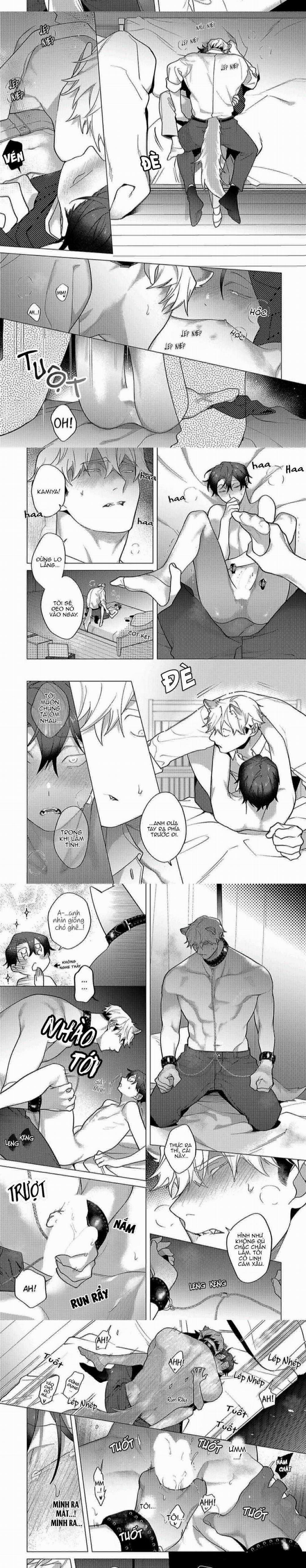 Nghiền Nát Tôi Và Dạy Tôi Về Tình Yêu 10 trang 6