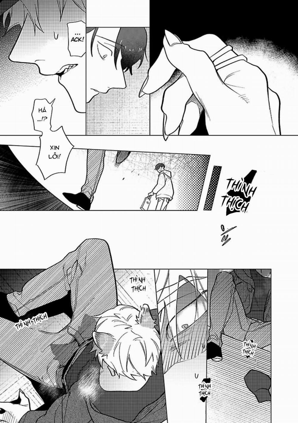 Nghiền Nát Tôi Và Dạy Tôi Về Tình Yêu 2 trang 10