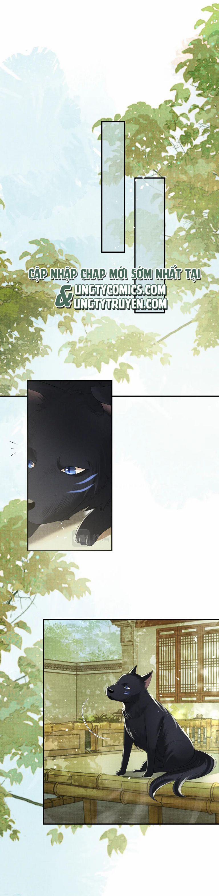 Ngộ Xà 87 trang 13