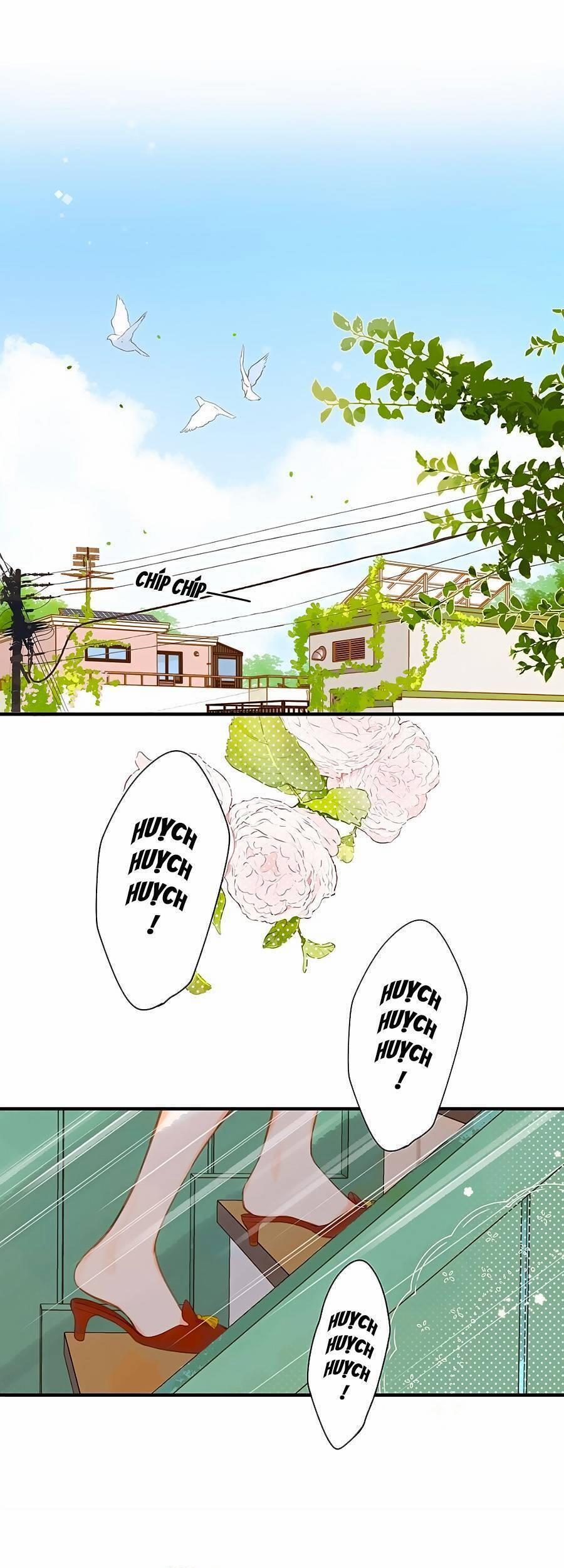 Ngôi Nhà Hướng Dương 25 trang 1