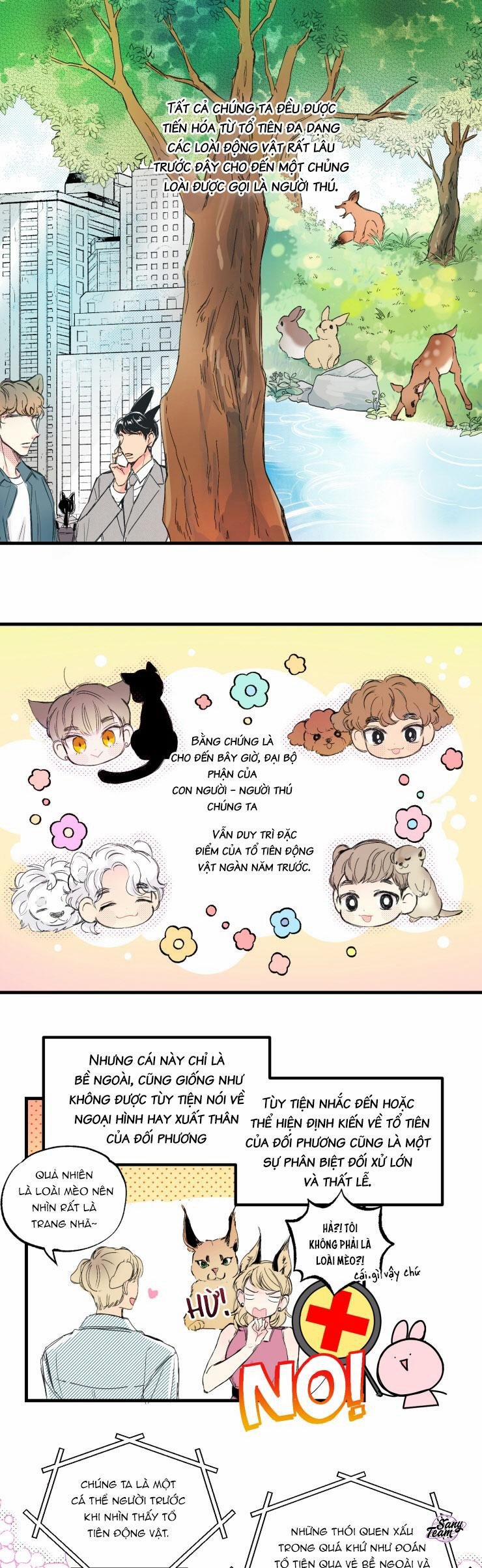 Ngôi Nhà Tình Yêu Mềm Mại 1 trang 0