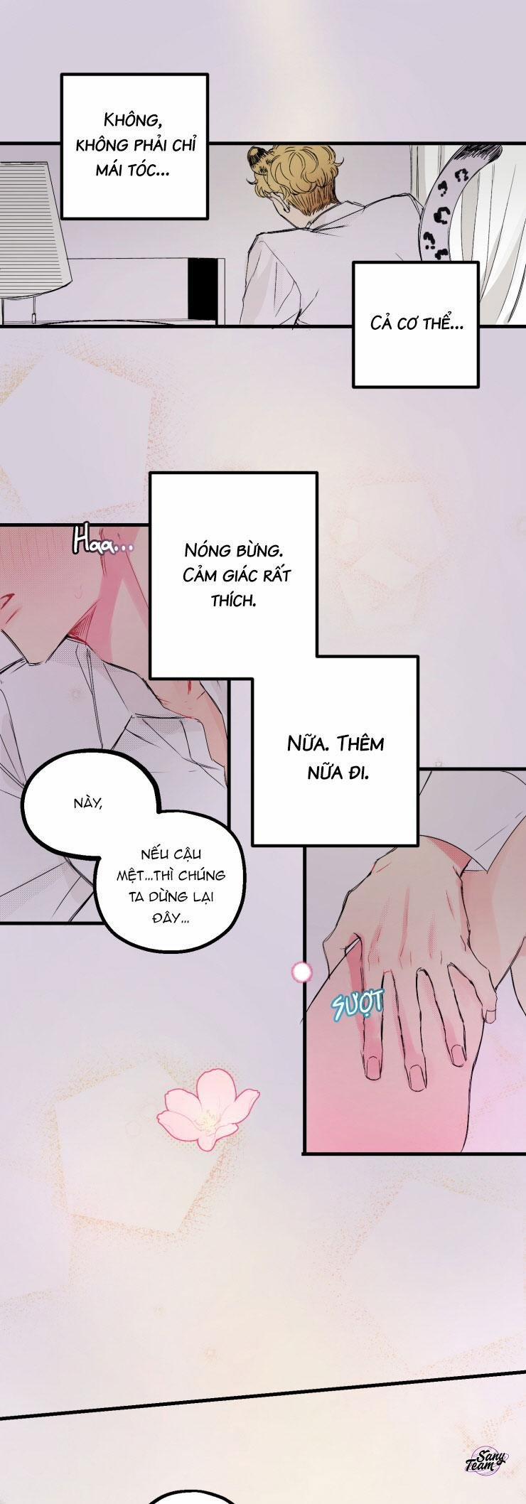 Ngôi Nhà Tình Yêu Mềm Mại 1 trang 12