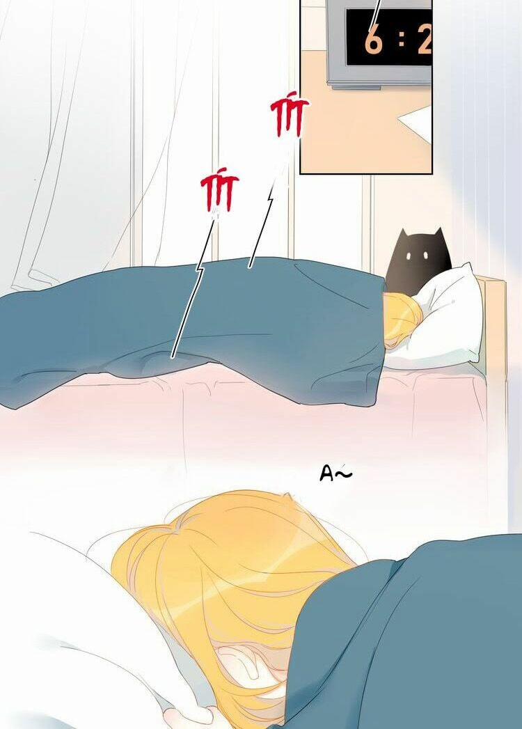 Ngôi Sao Cho Tôi 1 trang 17