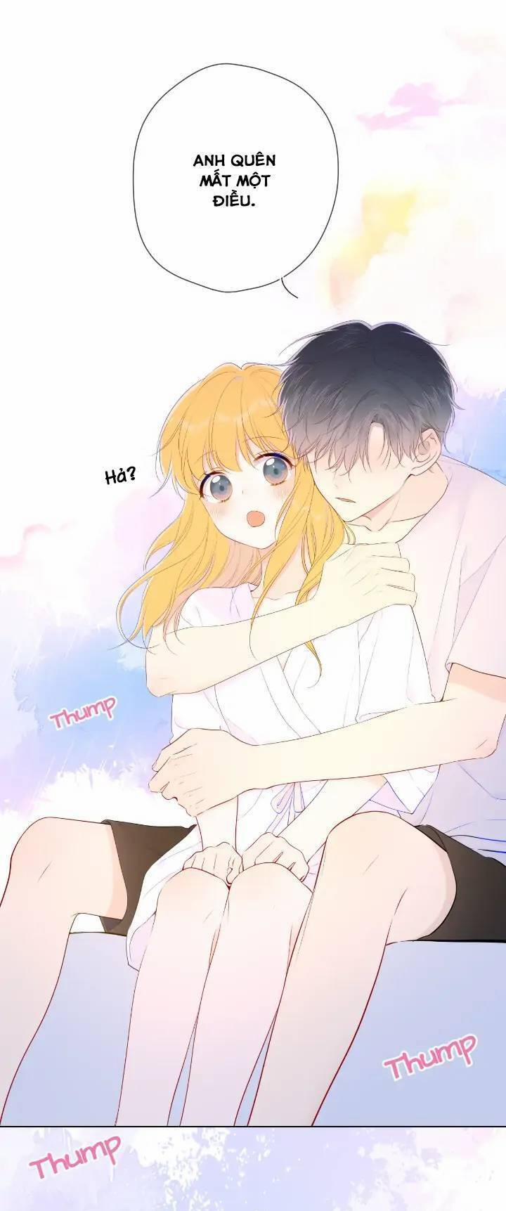 Ngôi Sao Cho Tôi 101 trang 17