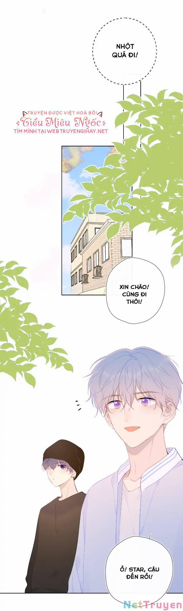 Ngôi Sao Cho Tôi 101 trang 19
