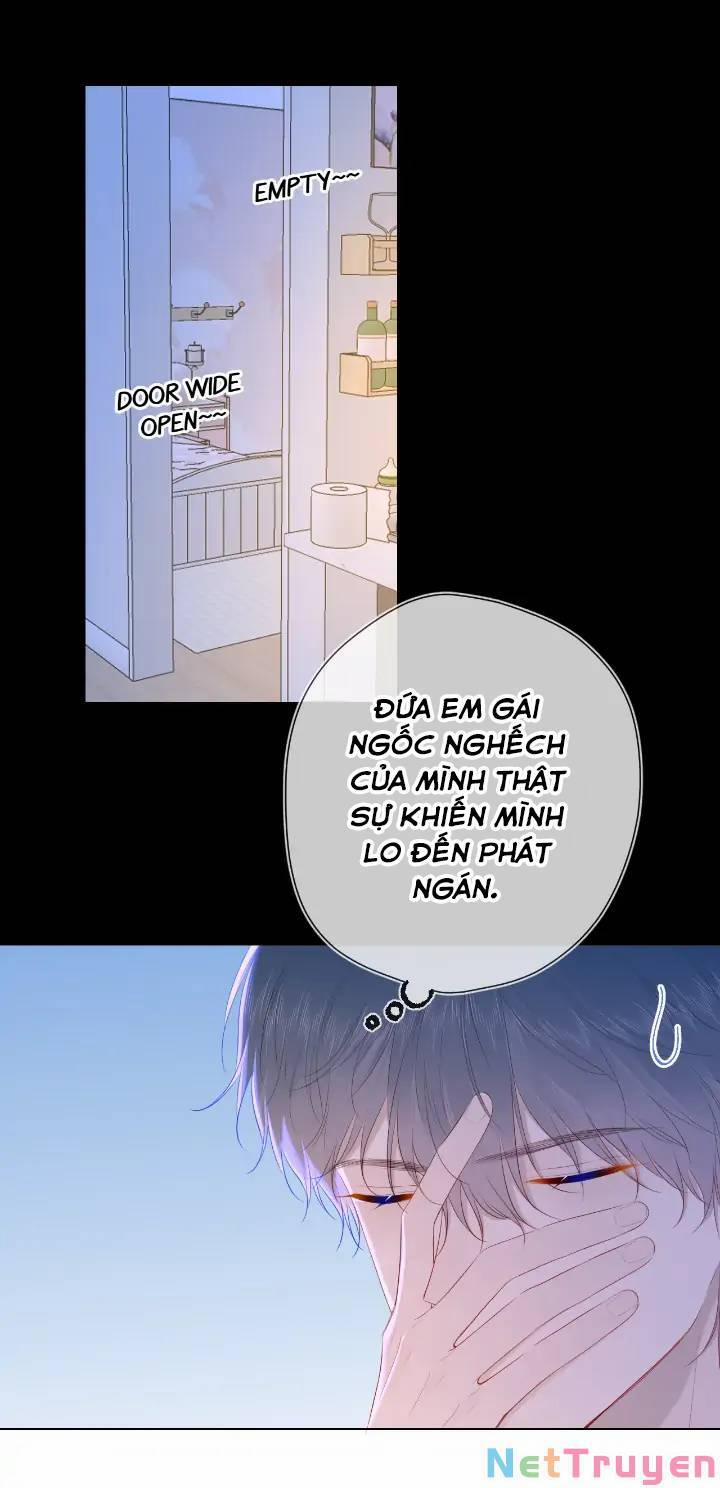 Ngôi Sao Cho Tôi 101 trang 2