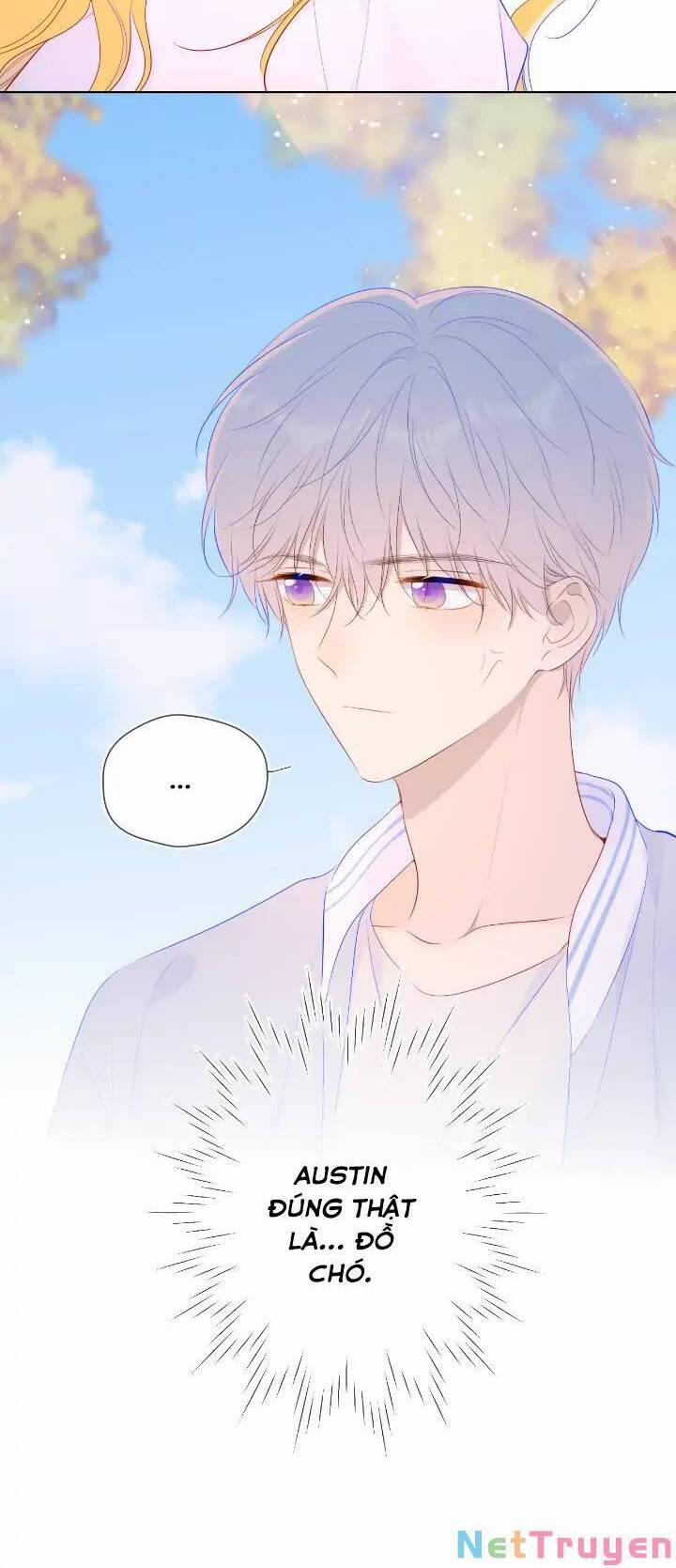 Ngôi Sao Cho Tôi 101 trang 22