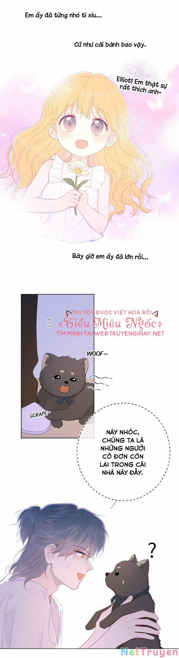 Ngôi Sao Cho Tôi 101 trang 3