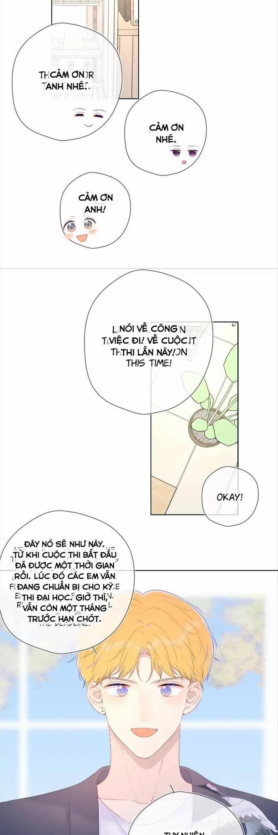 Ngôi Sao Cho Tôi 102 trang 5