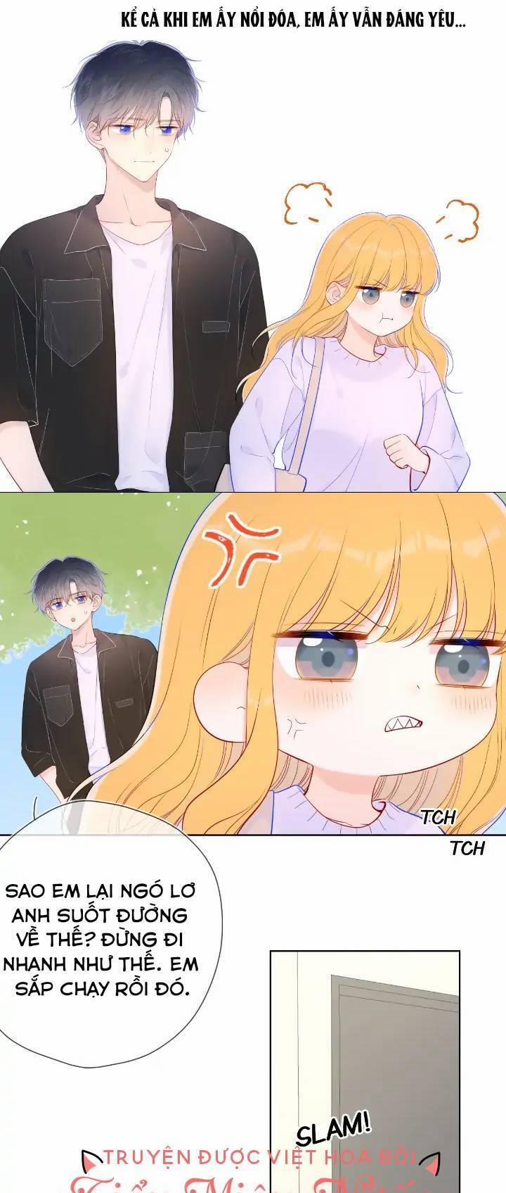 Ngôi Sao Cho Tôi 103 trang 11