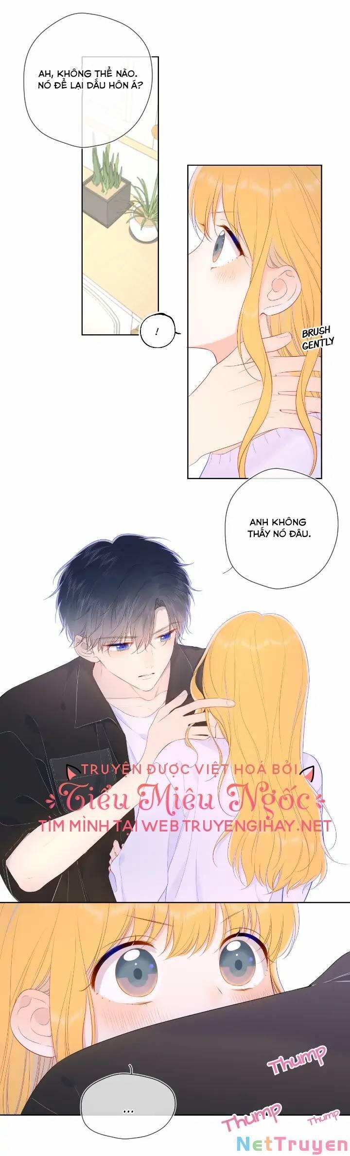 Ngôi Sao Cho Tôi 103 trang 13