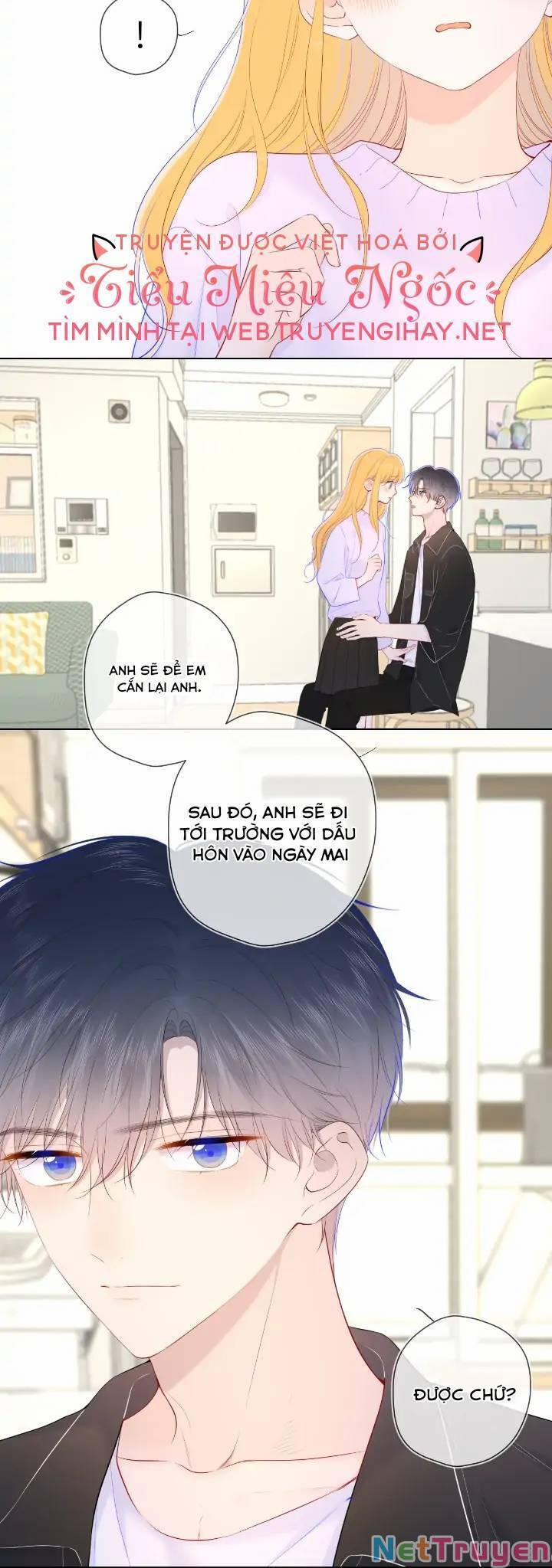 Ngôi Sao Cho Tôi 103 trang 16