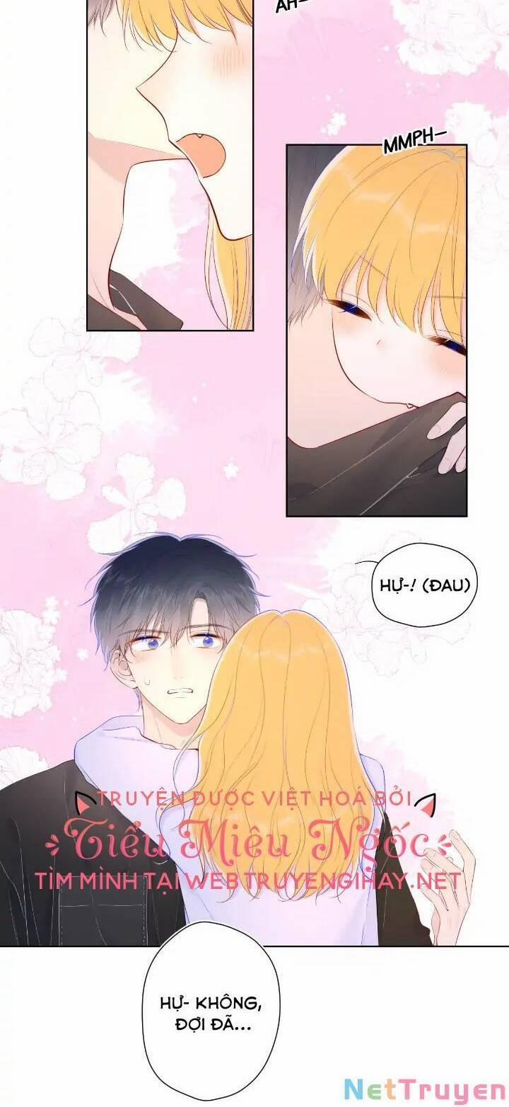 Ngôi Sao Cho Tôi 103 trang 18