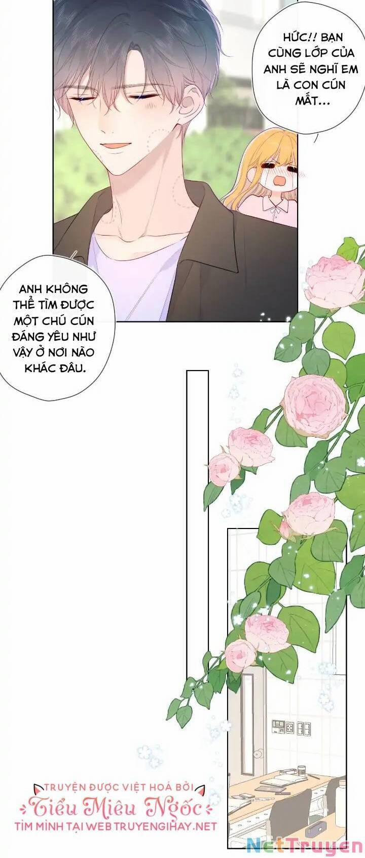 Ngôi Sao Cho Tôi 104 trang 2