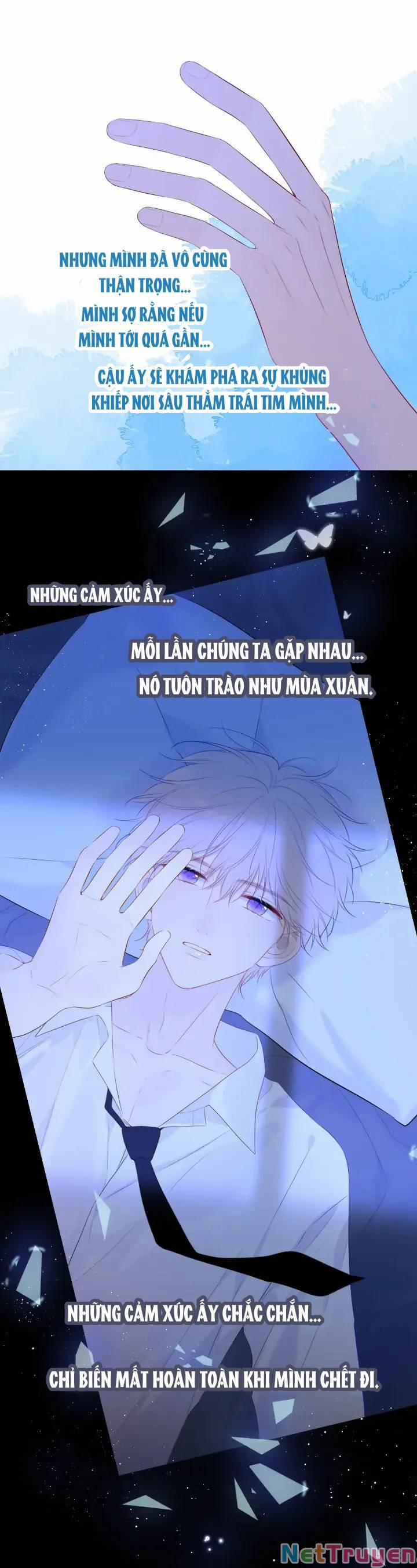 Ngôi Sao Cho Tôi 104 trang 24