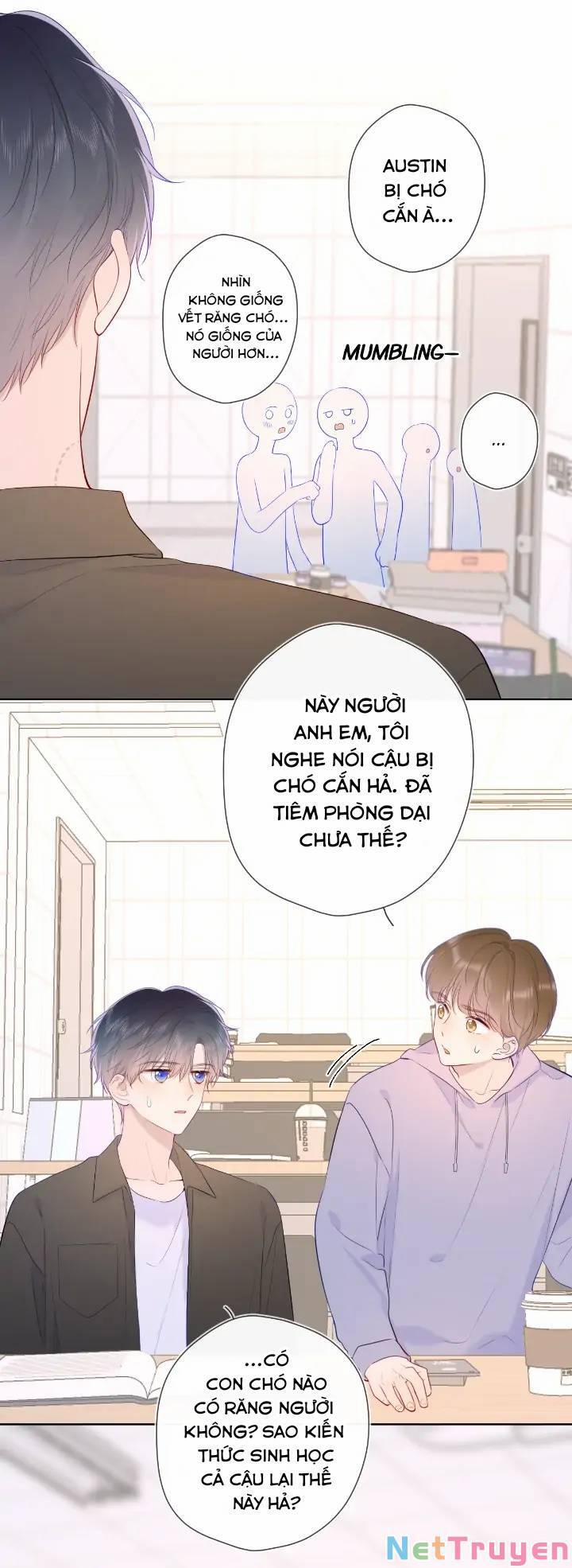 Ngôi Sao Cho Tôi 104 trang 3