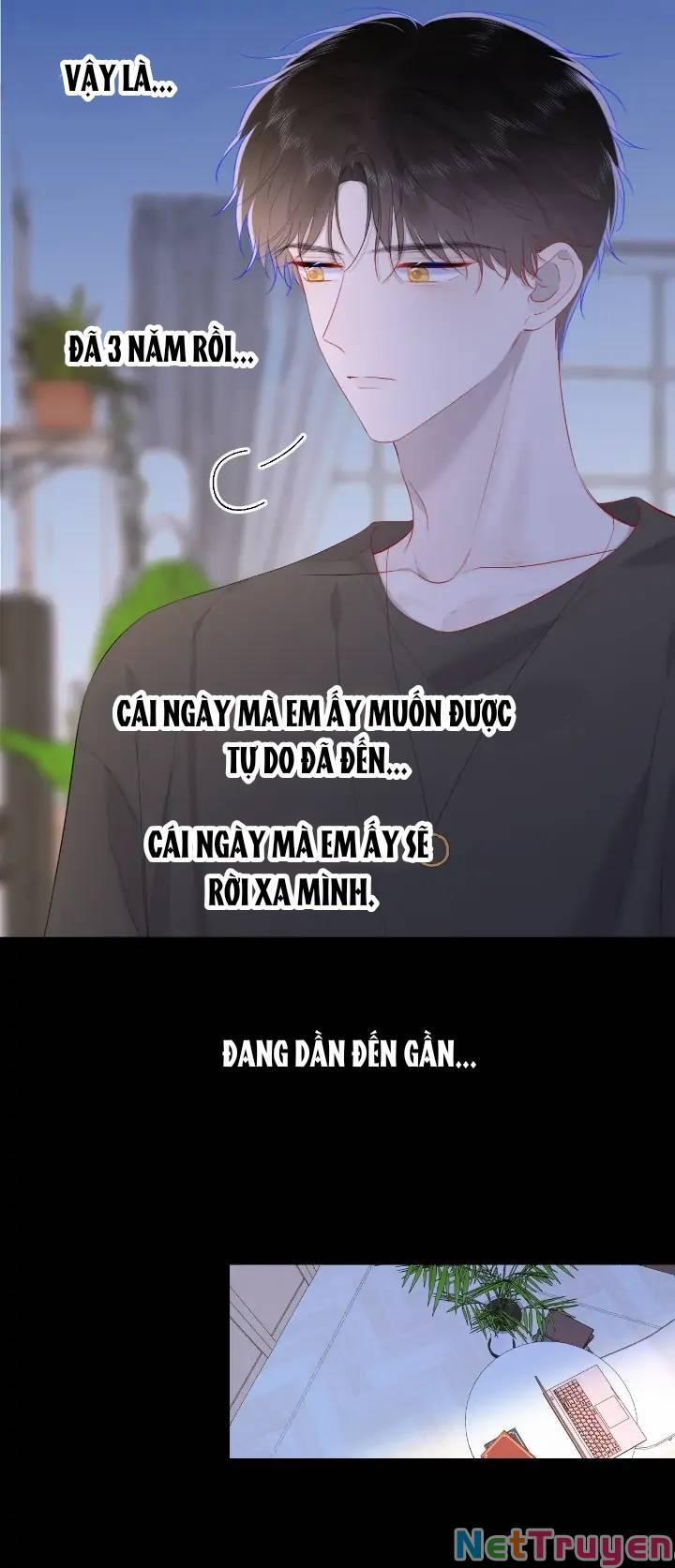 Ngôi Sao Cho Tôi 106 trang 19