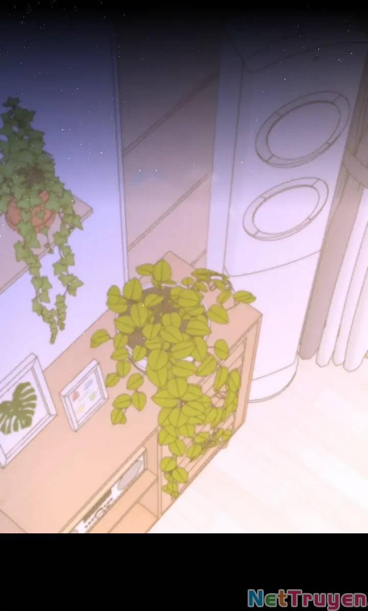 Ngôi Sao Cho Tôi 106 trang 2