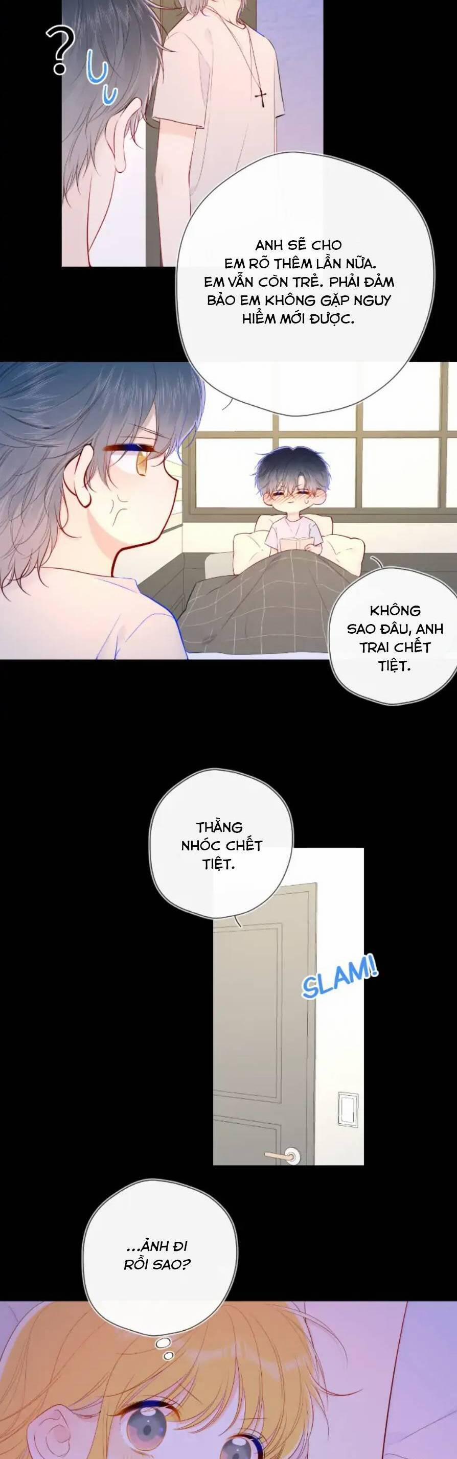 Ngôi Sao Cho Tôi 108 trang 6