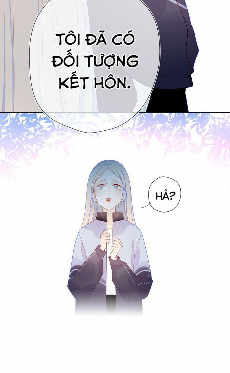 Ngôi Sao Cho Tôi 11 trang 5