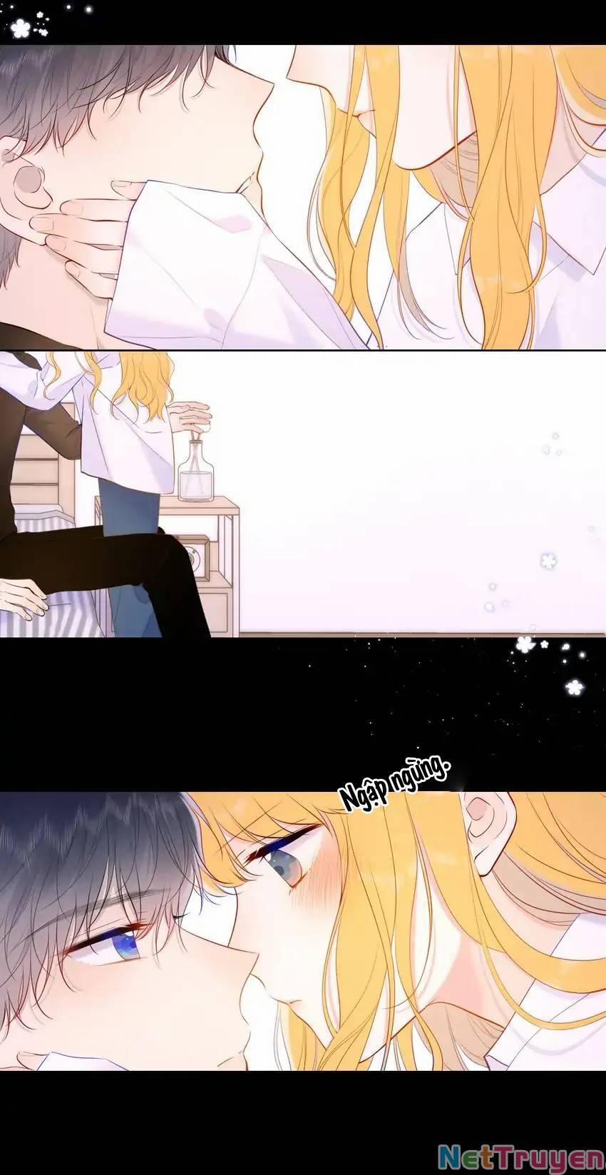 Ngôi Sao Cho Tôi 115 trang 14