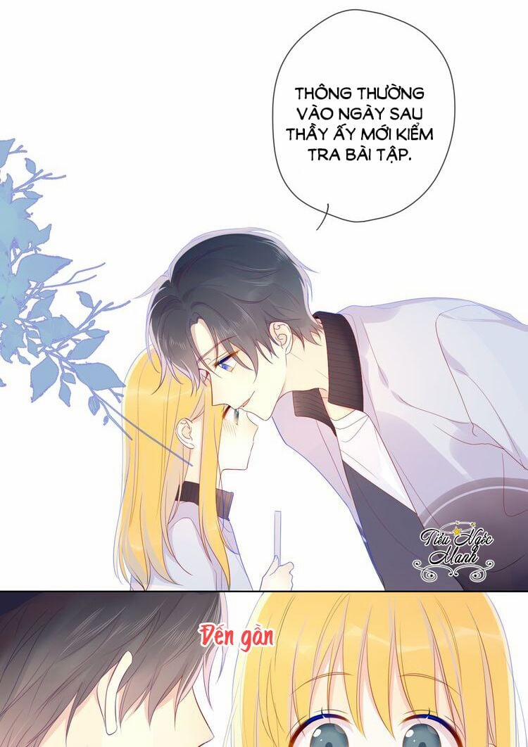 Ngôi Sao Cho Tôi 12 trang 17