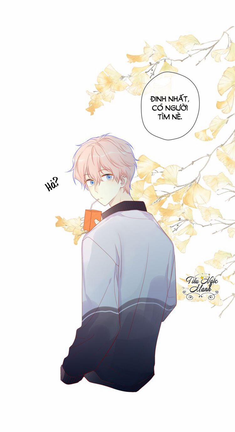 Ngôi Sao Cho Tôi 12 trang 23