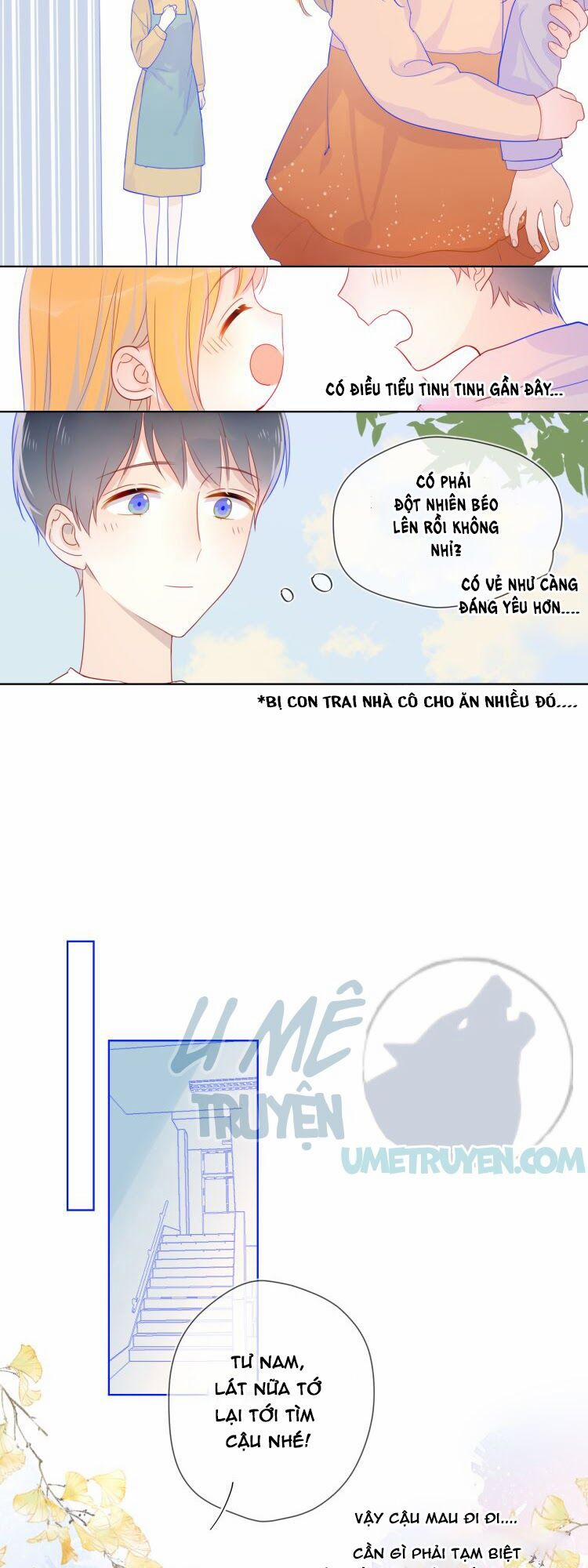 Ngôi Sao Cho Tôi 13 trang 11