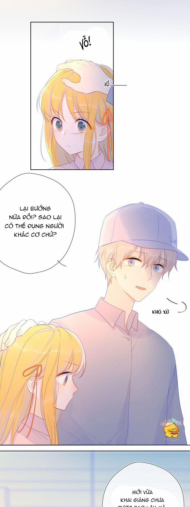 Ngôi Sao Cho Tôi 17 trang 5