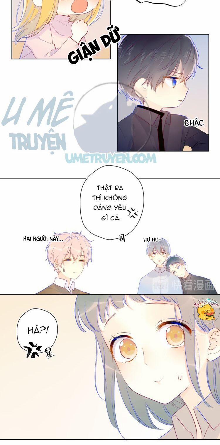 Ngôi Sao Cho Tôi 19 trang 11