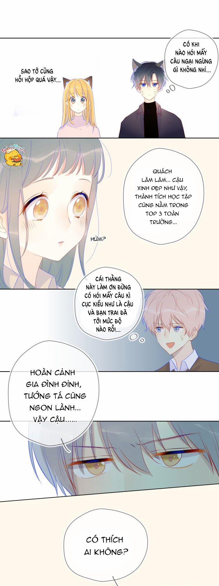 Ngôi Sao Cho Tôi 19 trang 16