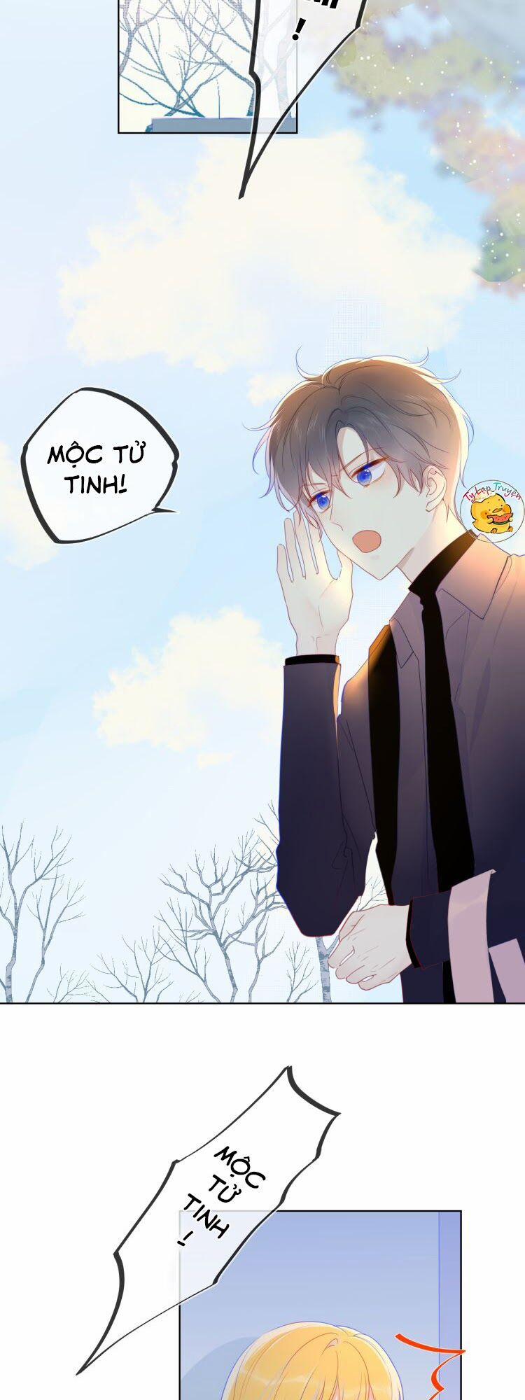 Ngôi Sao Cho Tôi 22 trang 2