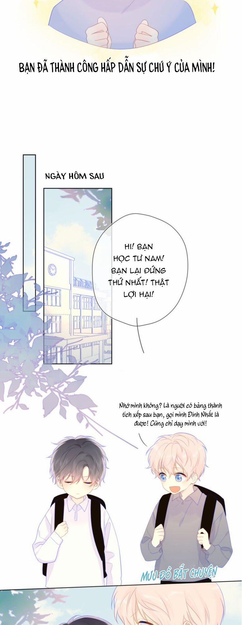 Ngôi Sao Cho Tôi 23 trang 11