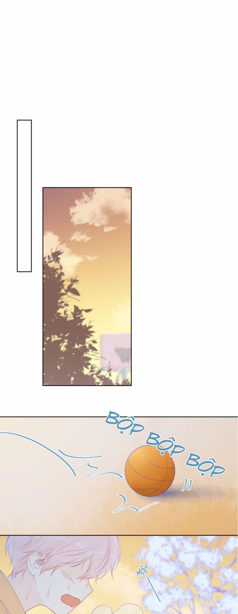 Ngôi Sao Cho Tôi 23 trang 16