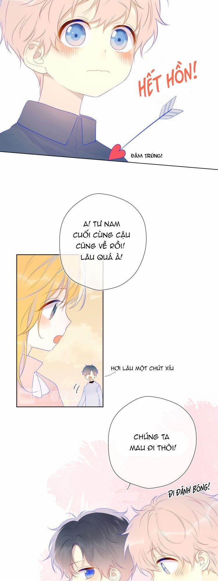 Ngôi Sao Cho Tôi 24 trang 11