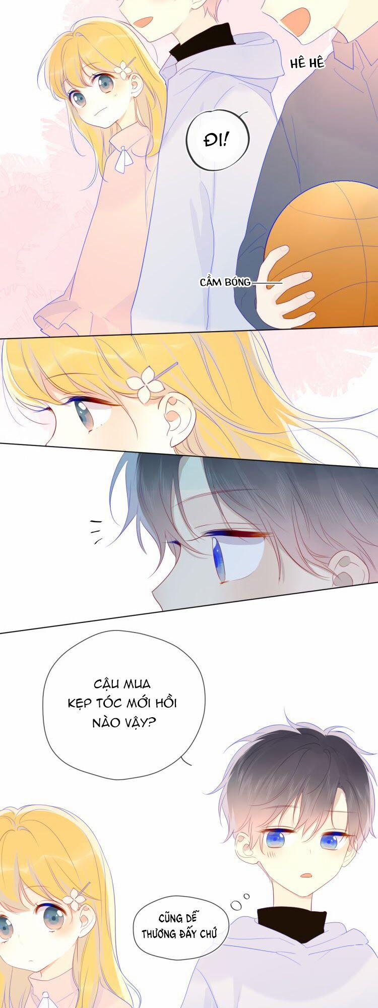 Ngôi Sao Cho Tôi 24 trang 12