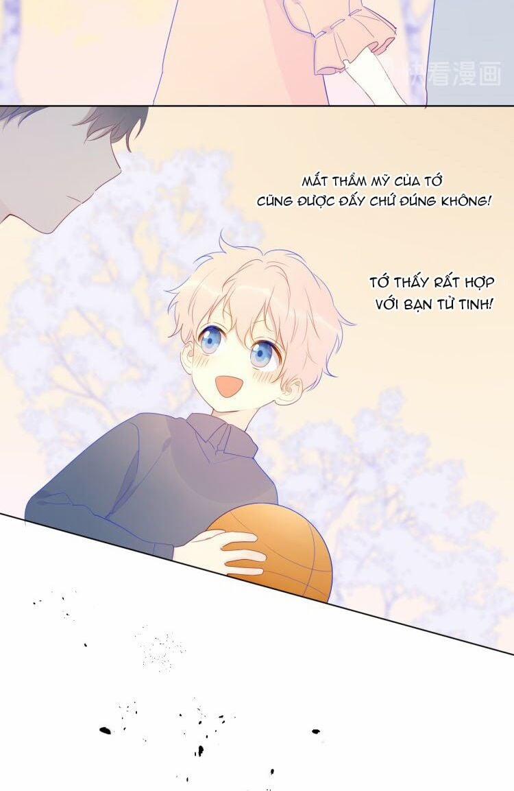 Ngôi Sao Cho Tôi 24 trang 14