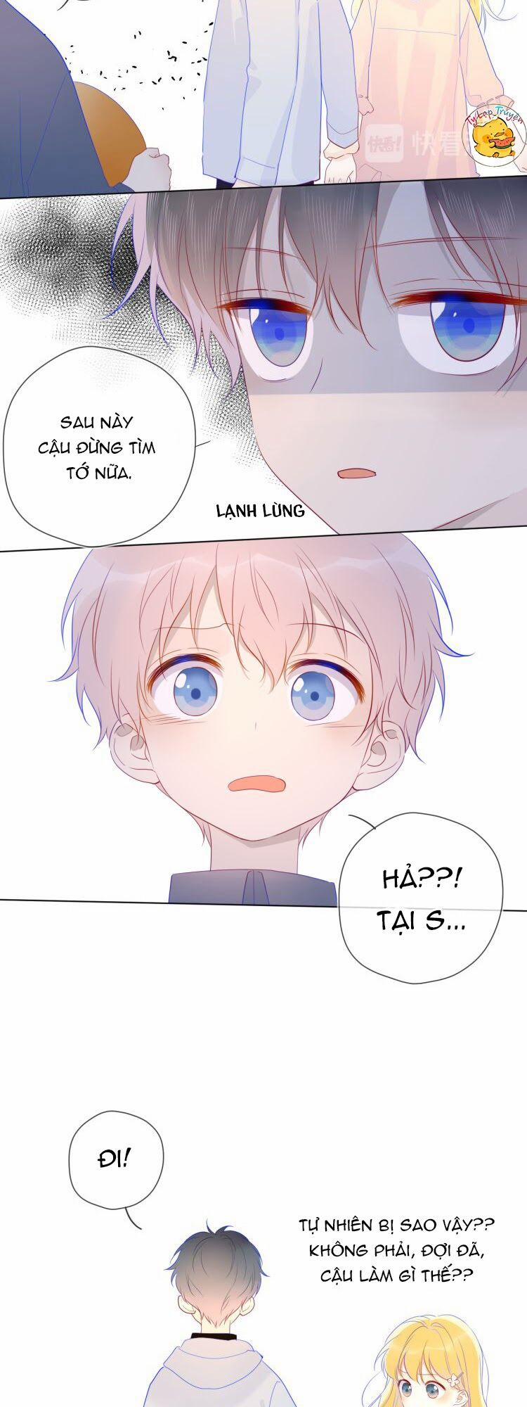 Ngôi Sao Cho Tôi 24 trang 17