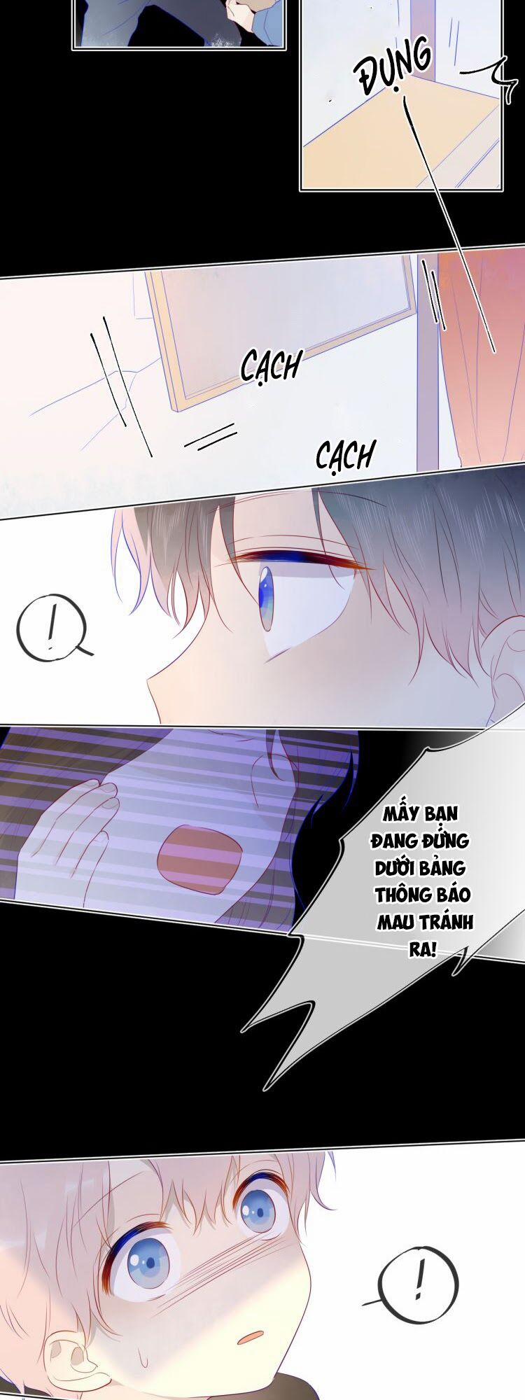 Ngôi Sao Cho Tôi 24 trang 30