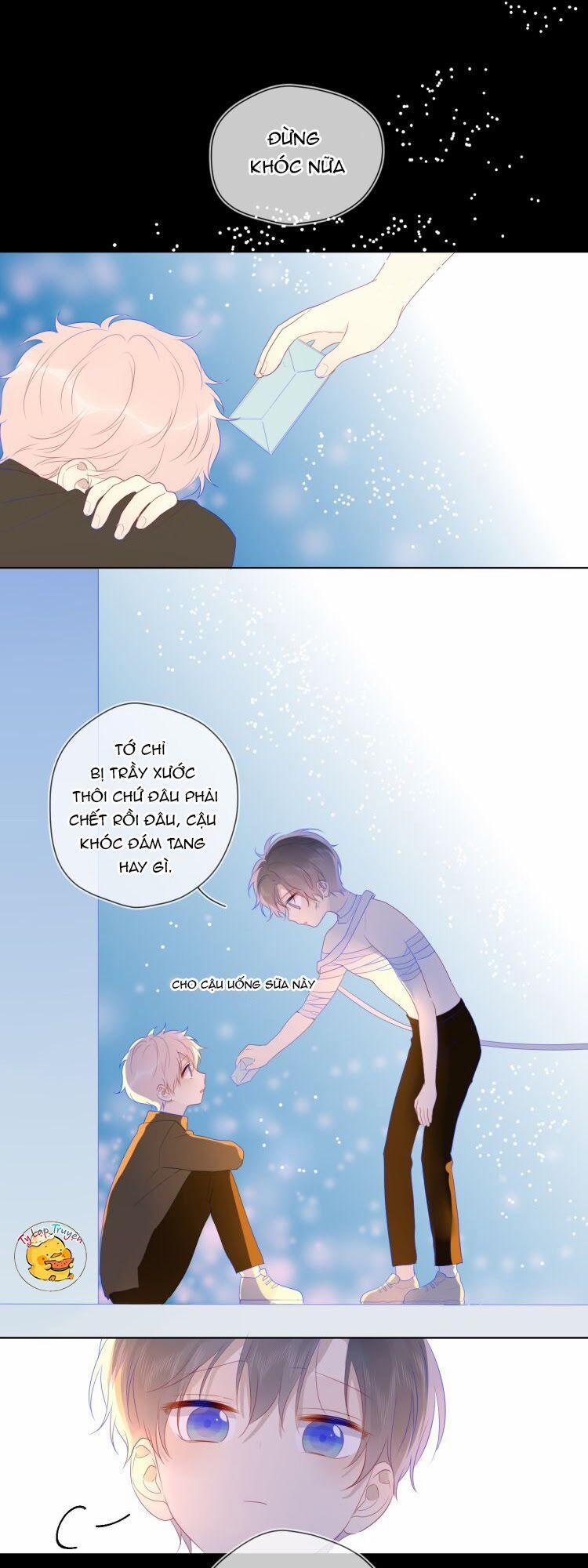 Ngôi Sao Cho Tôi 24 trang 41