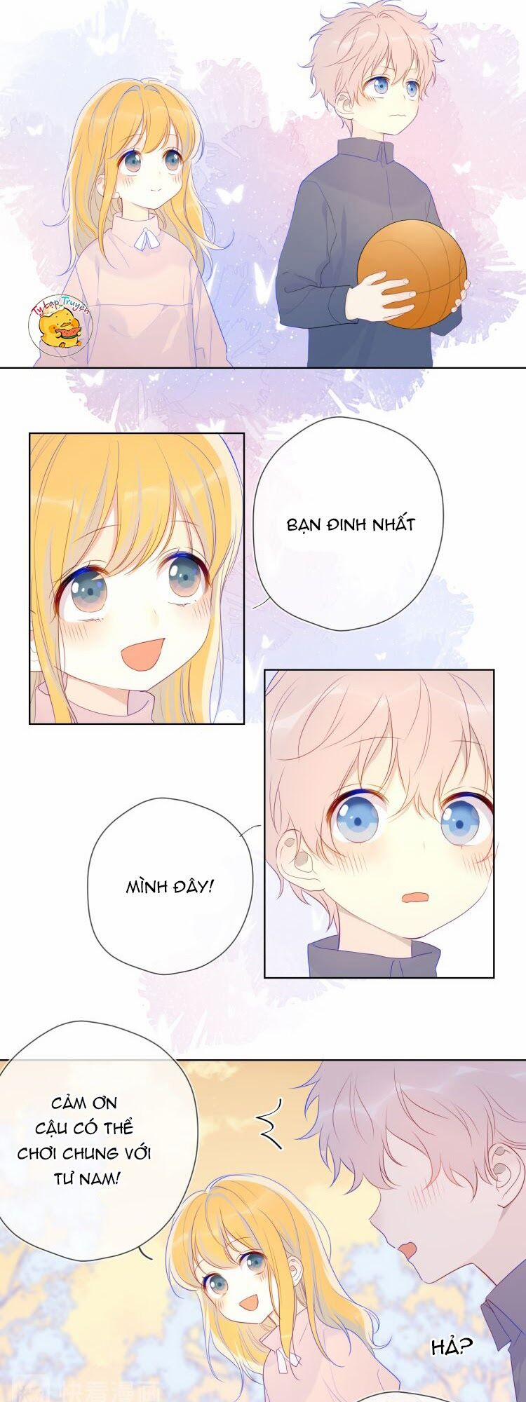 Ngôi Sao Cho Tôi 24 trang 5