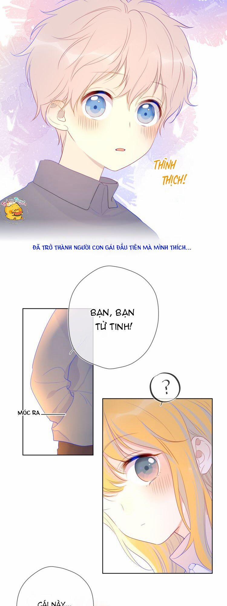 Ngôi Sao Cho Tôi 24 trang 8