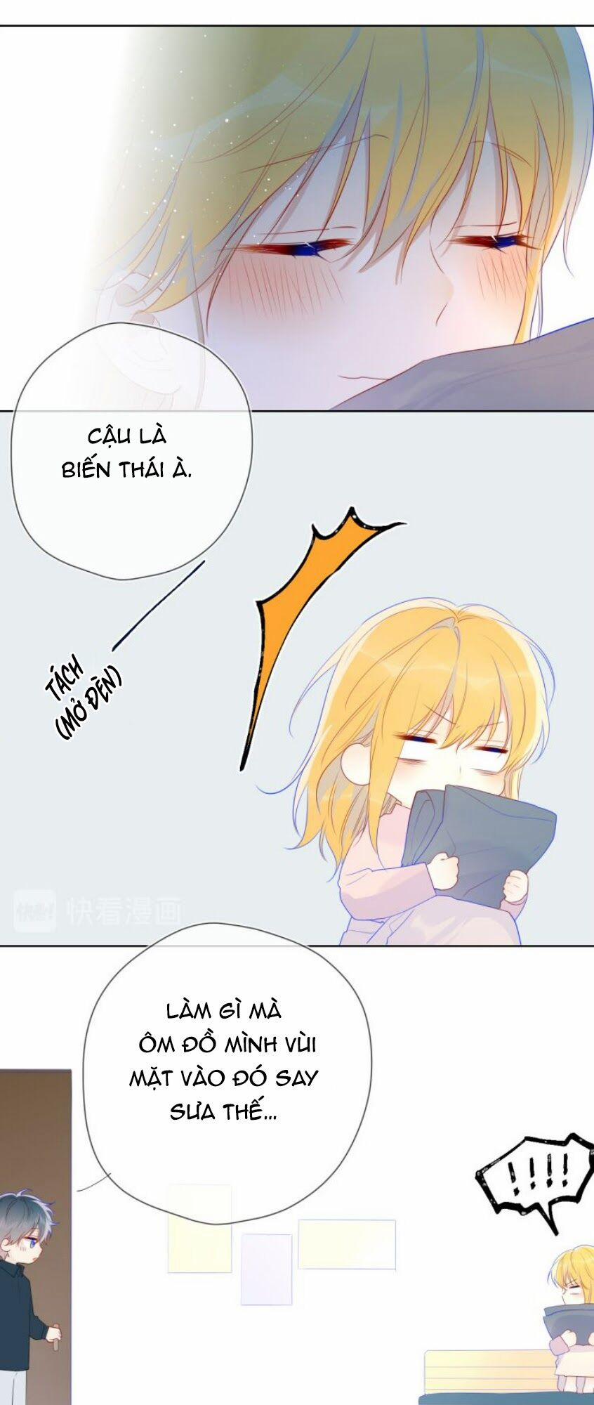 Ngôi Sao Cho Tôi 25 trang 11