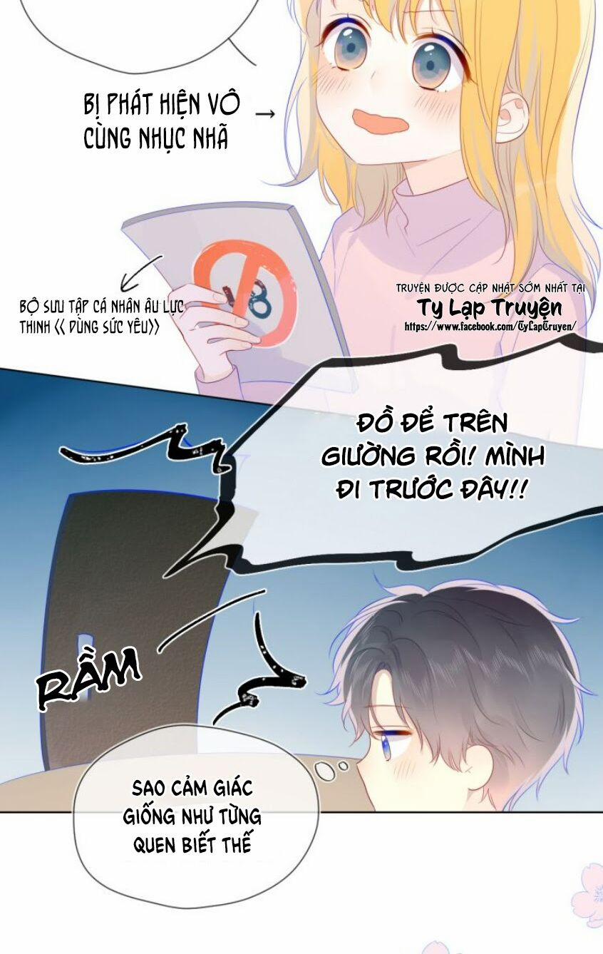 Ngôi Sao Cho Tôi 25 trang 15