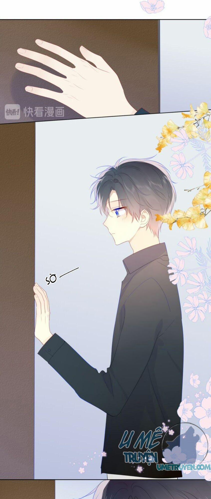 Ngôi Sao Cho Tôi 25 trang 16