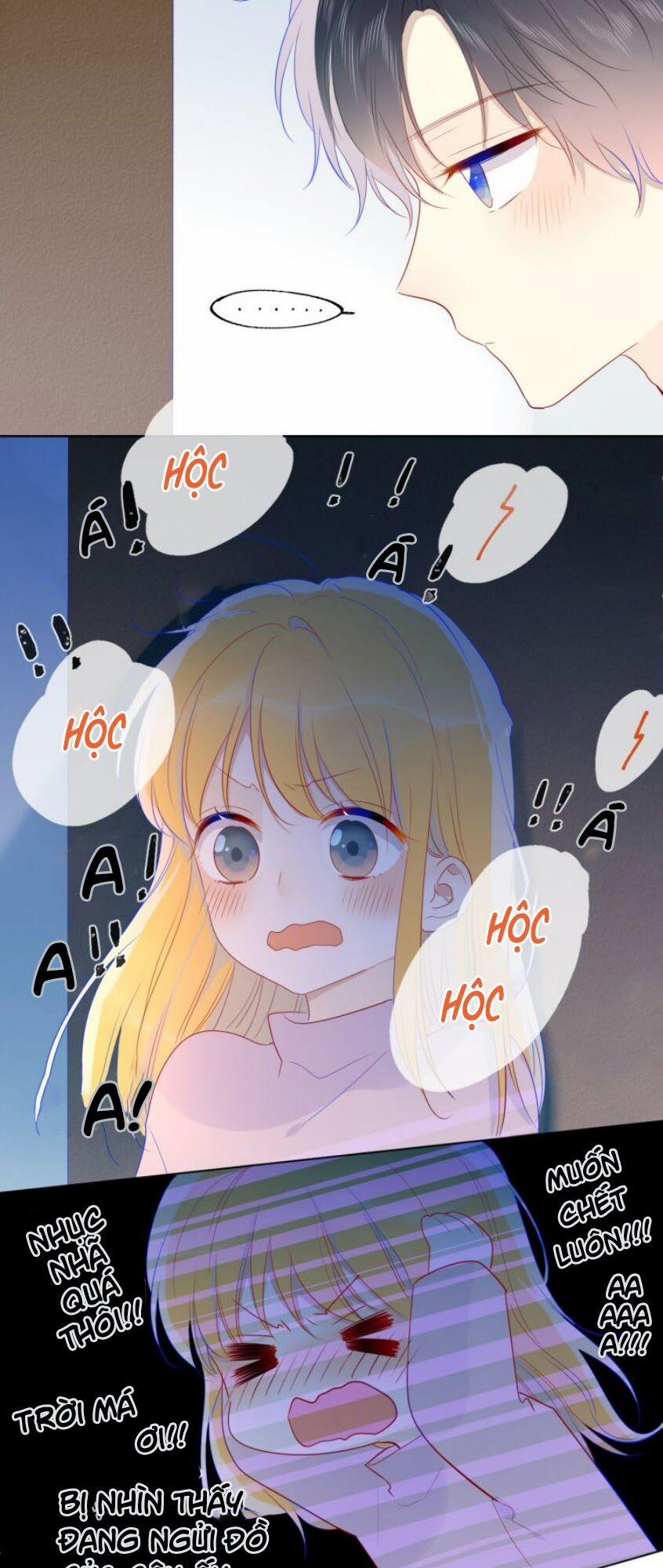 Ngôi Sao Cho Tôi 25 trang 17