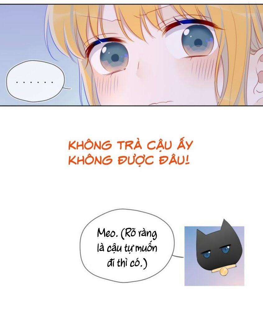 Ngôi Sao Cho Tôi 25 trang 5